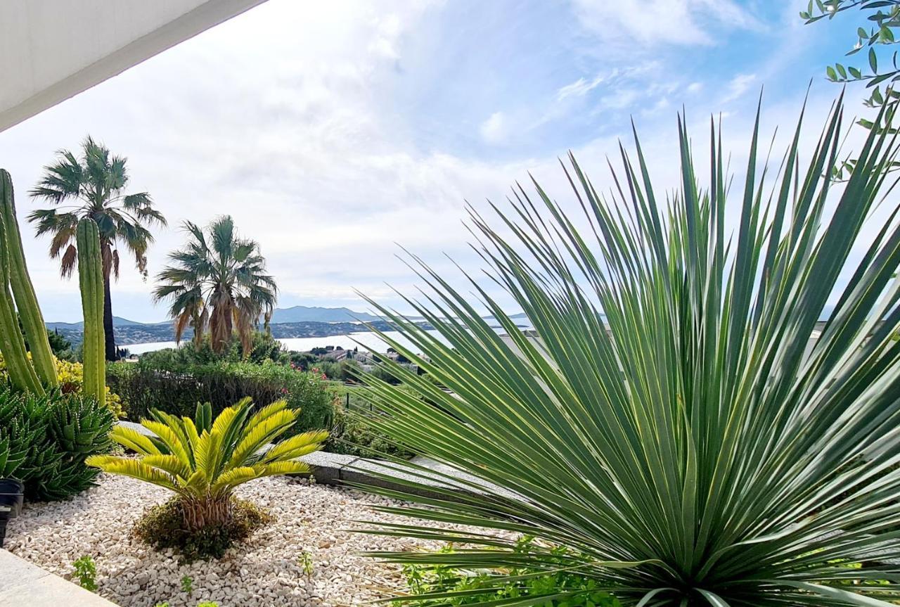 Magnifique Appartement Vue Mer - Grande Terrasse Et Piscine バンドール エクステリア 写真